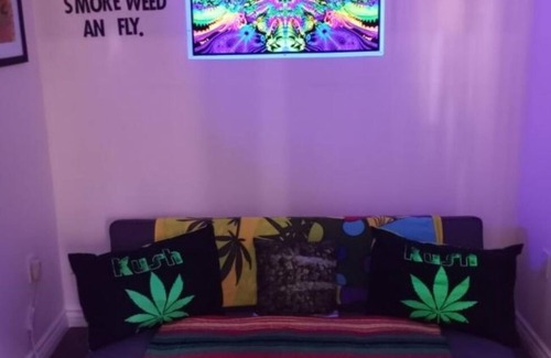 Julian House | Reefer Madness House *420, Glow in the Dark, Fun!