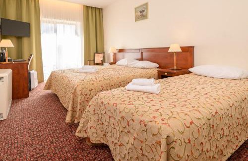 Druskininkai Hotel | Regina