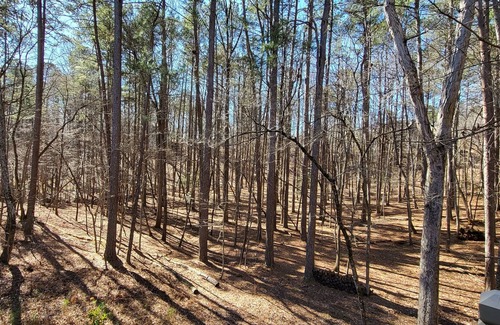 Big Canoe House | Relax and play in your forest get-away at Big Canoe