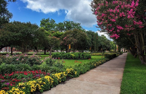 Austin Ave. Resort | Relax and Recharge in Knights Inn Franklin Ave Waco! Free Parking, Pets Allowed