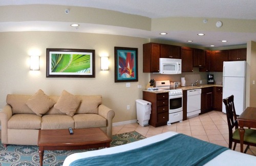 Survey Creek Resort | Relax at our Palm Tree secluded Resort with a poolside bar and waterslide