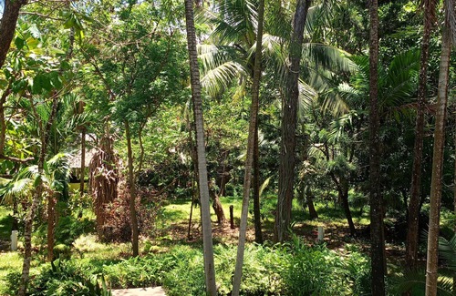 Kwale Apartment | Relax in Paradise: Diani Peaceful Garden, Your Peaceful Beach Getaway