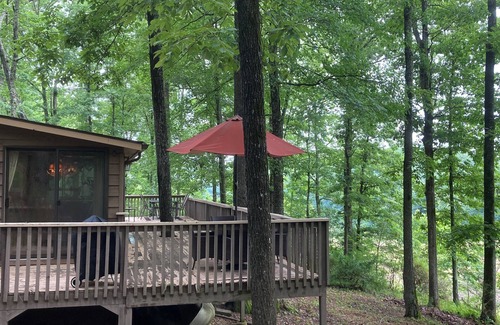 Vulcan Cabin | Relaxing 3B Log Home-15 min walk to the Black River!