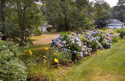 Yarmouth Port House | Relaxing family getaway, near beaches, farm and golf! Fire pit/Deck/Patio