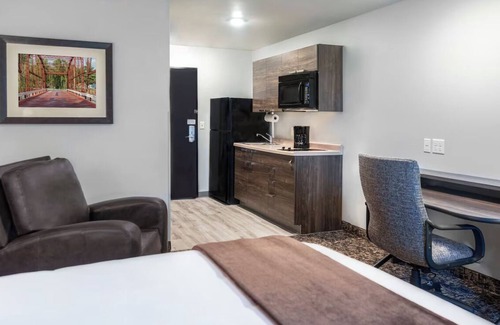 Mitchell Hotel | Relaxing Room with Full Kitchen Setup Near Lake Mitchell - Pets are Welcome!