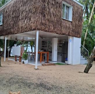 Hernani Cabin | Remy's Eco house