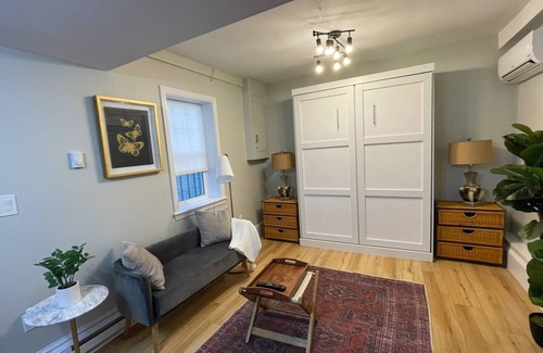 Cleveland Circle Apartment | Renovated Studio, near hospitals, MBTA