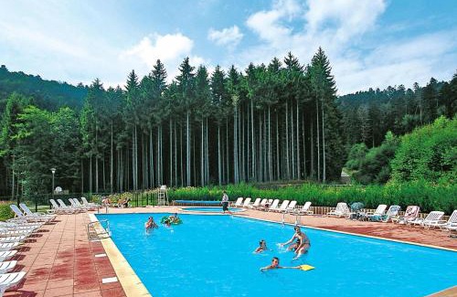 Saales Apartment | Res Les Fontaines des Vosges, Saales, 3 room apt
