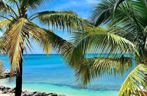 Marigot Apartment | Residence Anse des sables