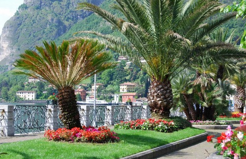 Argegno Apartment | Residence degli Oleandri 2A