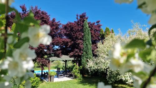 Zenica-Doboj Canton House | Residence Green Pool & SPA