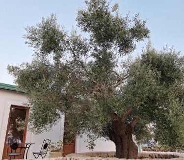 Noci Bed & Breakfast | Resort Masseria Cecato