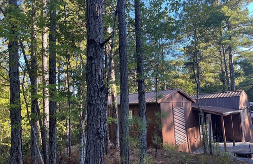 Dadeville Cabin | Rest-Relax-Reconnect-Renew in beautiful, serene, wooded, gated Lake Martin Cabin