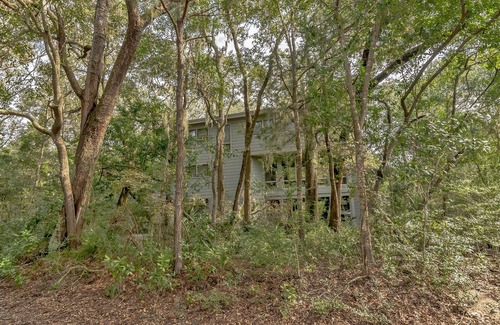 Bald Head Island House | Resting in treetop, two golf carts close to island amenities