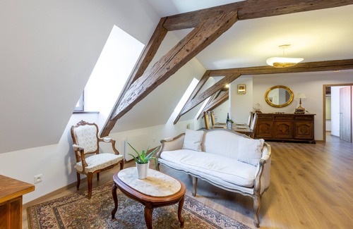 Selestat Apartment | RHENANUS: Jean Geiler de Kaysersberg 🐕‍🦺🅿️🗝