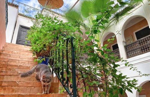 Mechouar-Kasbah House | Riad Rockech