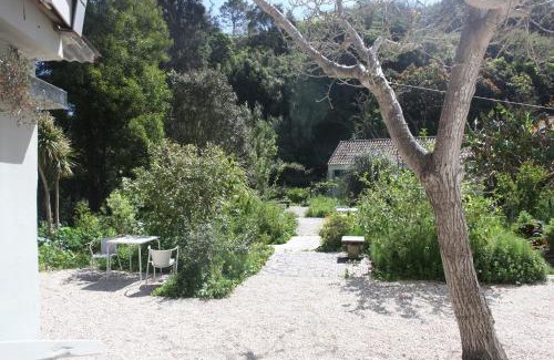 Monserrate Apartment | Ribeira dos Marinheiros Verde Água