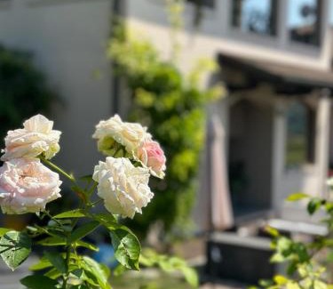 Cocconato House | Rinirma