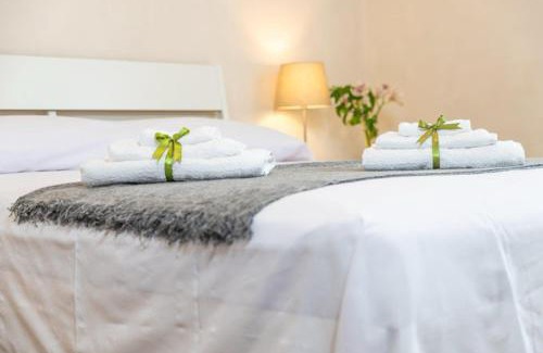 Mount Vesuvius - Pompei Apartment | Ritratto Vesuviano