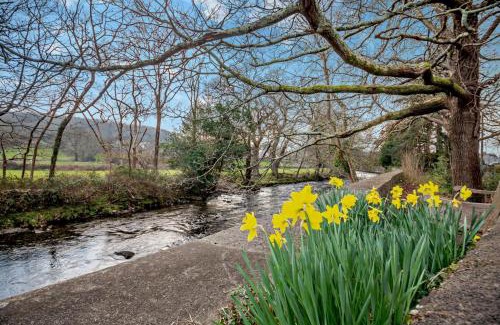 Llanbedr Apartment | River Artro Townhouse