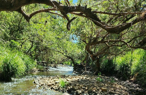 Mount Nathan Cottage | River Cottage Gold Coast in the Beautiful Hinterland