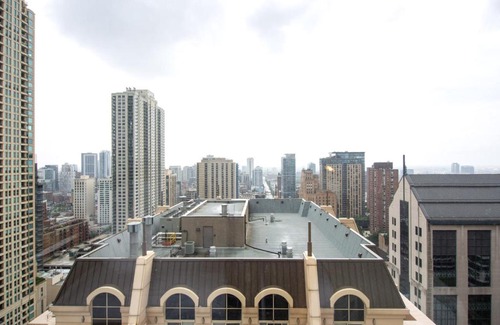 Rush and Division Apartment | River N 1BR w Gym WD nr Mag Mile CHI-86