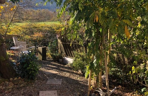 Saulxures-sur-Moselotte Apartment | Riverfront, cozy duplex.