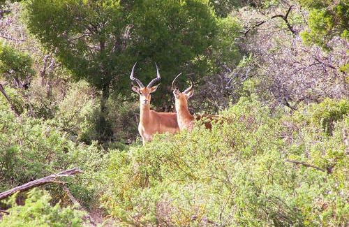 Kannaland House | Riverstone Game Farm