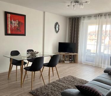 Roanne Apartment | Roanne-centre appartement