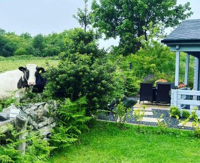 Downpatrick House | Rockschapel Cabin 30B