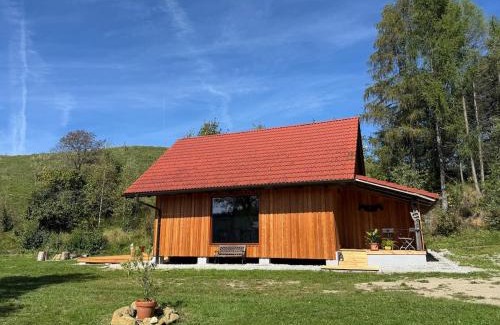 Slovenj Gradec House | Rojnik Mountain Farm
