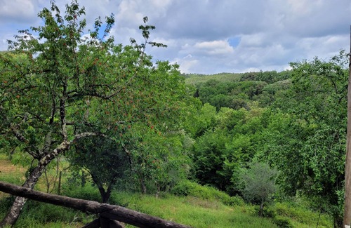 Castello di Tocchi Apartment | Romantic apartment located in a hamlet in the Sienese countryside