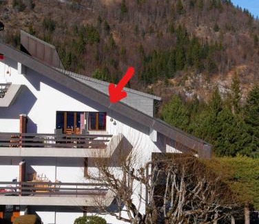 Vionnaz Apartment | Romantic Chalet-Style Flat with Mountain View