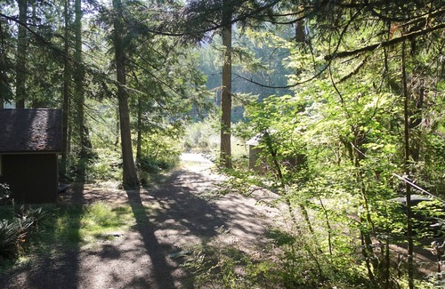 Rhododendron Cabin | Romantic Mt. Hood Streamside Retreat, Hot Tub, BBQ, Fast WiFi. Pets Welcome, Ski