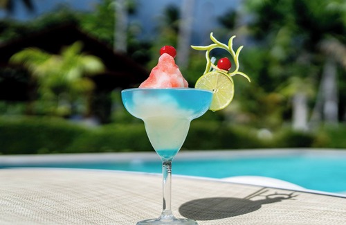 Sanchez Apartment | Room in Exclusive Villa: Caribbean Experiencen