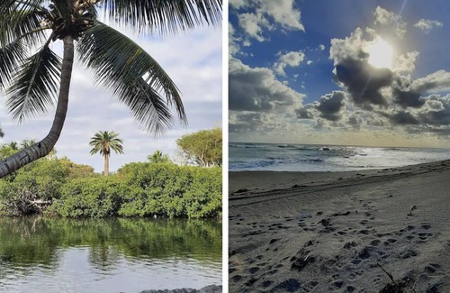 Hobe Sound House | Room or 1/1 Full House for Rent