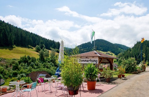 Bad Rippoldsau-Schapbach Apartment | Room 'Paul' with Shared Terrace and Wi-Fi