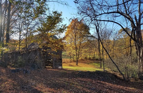 Tannersville House | Roomy Relaxing House Large Yard Stores Restaurants Trails Lake River Paved Drive
