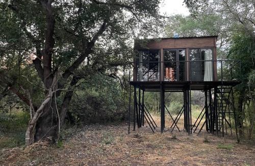 Livingstone Cabin | Roots in the River