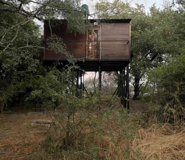 Livingstone Cabin | Roots in the River