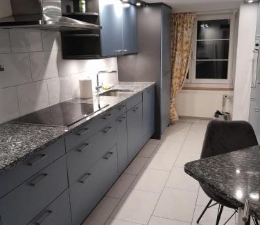 Niederdorf Apartment | Rosa Apartment Zürich City