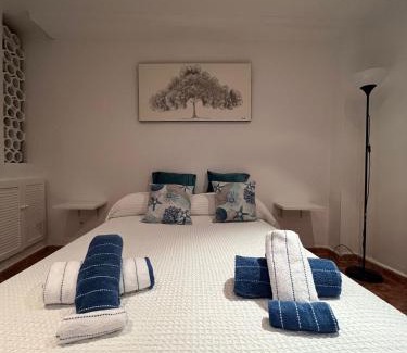 El Molinillo Apartment | Rosan