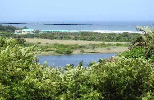 Illovo Beach House | Rose of Sharon