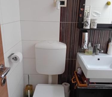Ljubljana House | ROSE Resort, ROOM 40m2 for 4 guests, with terrace and shared bathroom