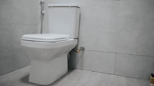 Mikocheni Apartment | Roseney Home