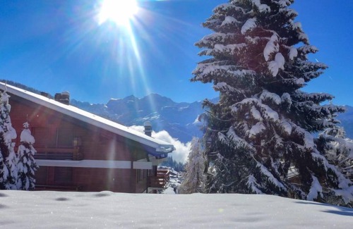 Verbier Apartment | Rousserolles 1 by Interhome
