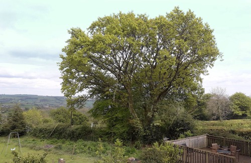 Honiton Cottage | Rural Holiday Cottage with Wonderful Countryside Views on Friendly Smallholding.