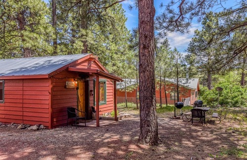 Parks Cabin | Rustic Adventure w/Historic Log Cabin /Forest Views /20 minutes from
