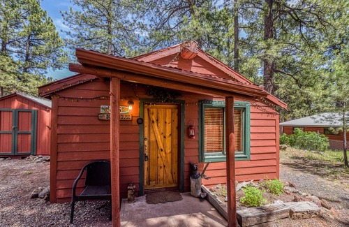 Parks Cabin | Rustic Adventure w/Historic Log Cabin /Forest Views /20 minutes from