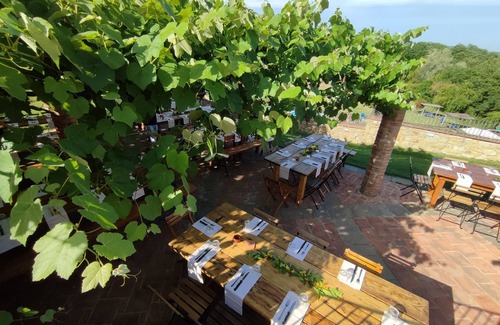 Laterina Apartment | Rustic apartment in the center of Tuscany with pool, wi-fi and on-site dining
